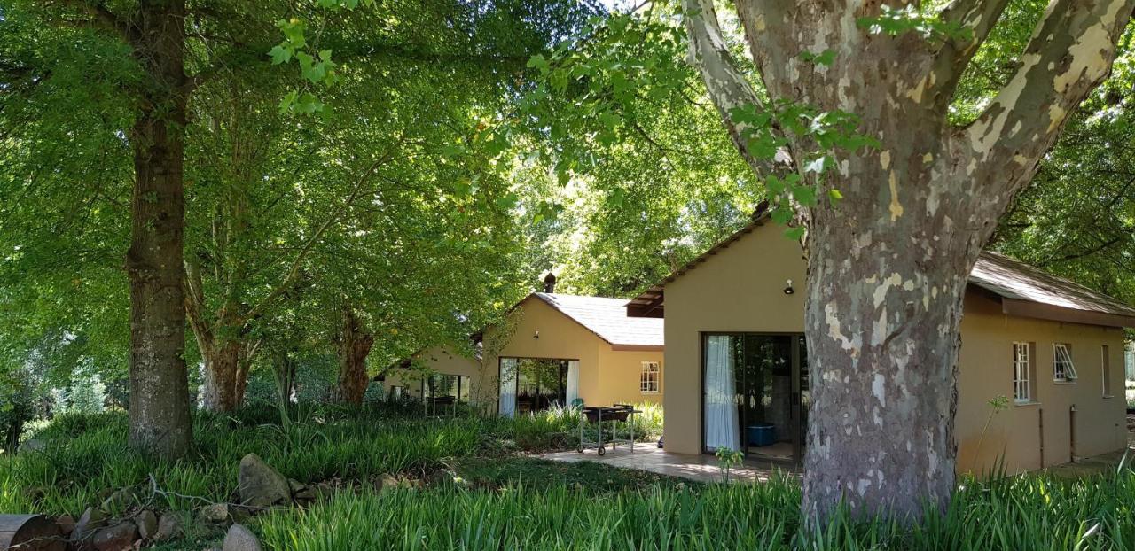 Berghaven Cottages 温特顿 外观 照片